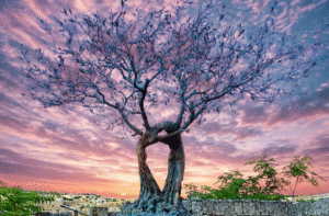 constellation familiale Lyon - lm therapie